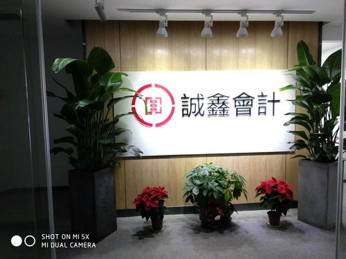 專業(yè)伙伴本土力量 湖南誠鑫會計服務(wù)集團(tuán)與賀州企業(yè)服務(wù)的深度實踐